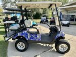 2008 Yamaha G29 Electric - Image 9