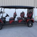 2025 Evolution Electric Vehicles D5-Maverick 6