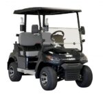 LION 2 Seat Golf