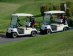 ECAR LT-A2D.SP – 2 Seat Golf Cart - Image 3