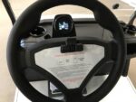 LION 2 Seat Golf - Image 3