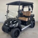 LION 2 Seat Golf Lithium