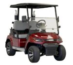 LION 2 Seat Golf - Image 2