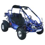 Trailmaster 300 XRX High Quality 300CC Electric Start, Automatic CTV with reverse, 4-stroke, single cylinder, water cooled Go Kart