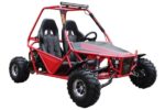 Vitacci Batman 200CC Deluxe Go Kart, Fully Automatic with Reverse, 177.3cc Engine, 4-Stroke Single Cylinder, Oil Cooled - Image 3