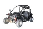 Vitacci T-Rex 125cc Go Kart,  Automatic with Reverse, 4-Stroke, Air-Cooled, Electric Start - Image 3