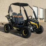 Trailmaster Cheetah 6 163cc Youth Go-Kart, 4-Stroke Single Cylinder, Air Cooled, Horizontal OHV Engine, Remote Start/Kill