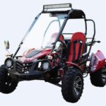 Trailmaster Blazer 200X Full-Size Go-Kart, Automatic CVT with Reverse, 4-Stroke, Single Cylinder, Air-Cooled, Electric Start