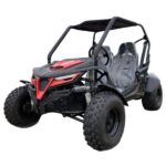 New Trailmaster Cheetah 200 Go Kart, Automatic with Reverse, 4-Stroke, Single Cylinder, Air Cooled - Image 3