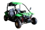 Vitacci T-Rex 125cc Go Kart,  Automatic with Reverse, 4-Stroke, Air-Cooled, Electric Start - Image 14