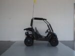 Trailmaster Cheetah 6 163cc Youth Go-Kart, 4-Stroke Single Cylinder, Air Cooled, Horizontal OHV Engine, Remote Start/Kill - Image 14