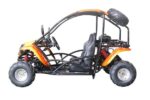 Vitacci T-Rex 125cc Go Kart,  Automatic with Reverse, 4-Stroke, Air-Cooled, Electric Start - Image 15