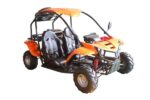 Vitacci T-Rex 125cc Go Kart,  Automatic with Reverse, 4-Stroke, Air-Cooled, Electric Start - Image 16