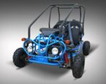 Vitacci RAPTOR-Mini KD-125cc GKG-2 Go Kart, Automatic with Reverse, 4-Stroke, Air-Cooled Engine, Electric Start - Image 4