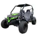 New Trailmaster Cheetah 200 Go Kart, Automatic with Reverse, 4-Stroke, Single Cylinder, Air Cooled - Image 2