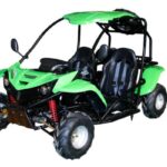 Vitacci T-Rex 125cc Go Kart,  Automatic with Reverse, 4-Stroke, Air-Cooled, Electric Start
