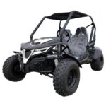 New Trailmaster Cheetah 200 Go Kart, Automatic with Reverse, 4-Stroke, Single Cylinder, Air Cooled - Image 5