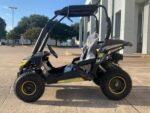 Trailmaster Cheetah 6 163cc Youth Go-Kart, 4-Stroke Single Cylinder, Air Cooled, Horizontal OHV Engine, Remote Start/Kill - Image 9