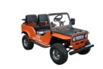 VITACCI GR2-125cc Go-Kart with Windshield, 125cc Semi-Auto Youth Jeep Go-Kart, Reverse, Electric Start, 23.62″ Seat Height - Image 8