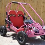 TrailMaster Mini XRX+ Go-Kart Buggy, High Back Seats, Adjustable for Younger Riders, Throttle Limiter, Remote Kill Switch (No Reverse)