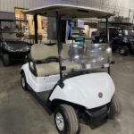 2019 Yamaha Drive2